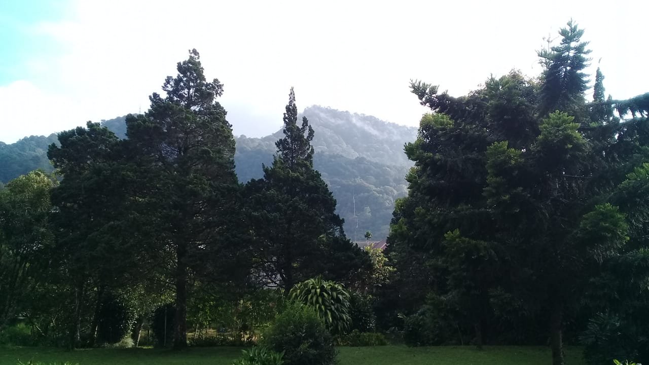 Dijual Villa di Jl. Raya Puncak - Gadog, Ciloto, Cipanas, Cianjur, Puncak, Jawa Barat - 12