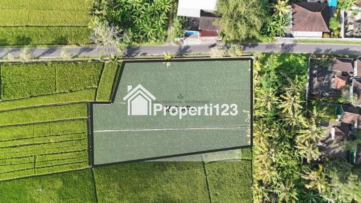 PRIME LAND FOR LEASEHOLD SALE IN KABA-KABA TABANAN – TA035 - 2