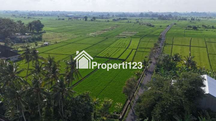 PRIME LAND FOR LEASEHOLD SALE IN KABA-KABA TABANAN – TA035 - 3