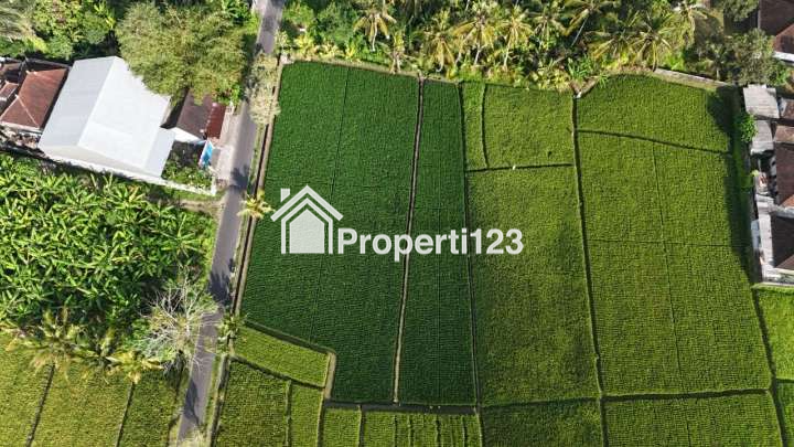 PRIME LAND FOR LEASEHOLD SALE IN KABA-KABA TABANAN – TA035 - 4