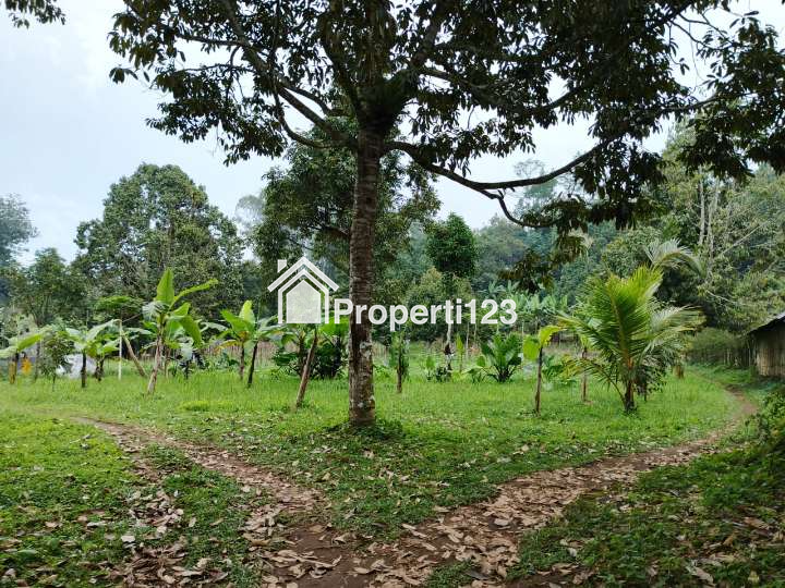 Dijual Tanah 7880 M2 Di Baturiti Tabanan Bali - 2