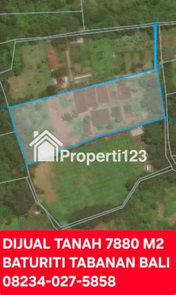 Dijual Tanah 7880 M2 Di Baturiti Tabanan Bali - 1