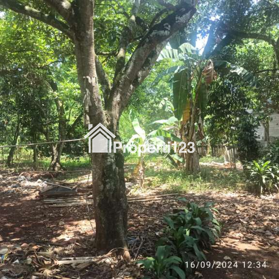 Dijual Tanah Lokasi Strategis di Perbatasan Cileungsi/Bekasi - 4