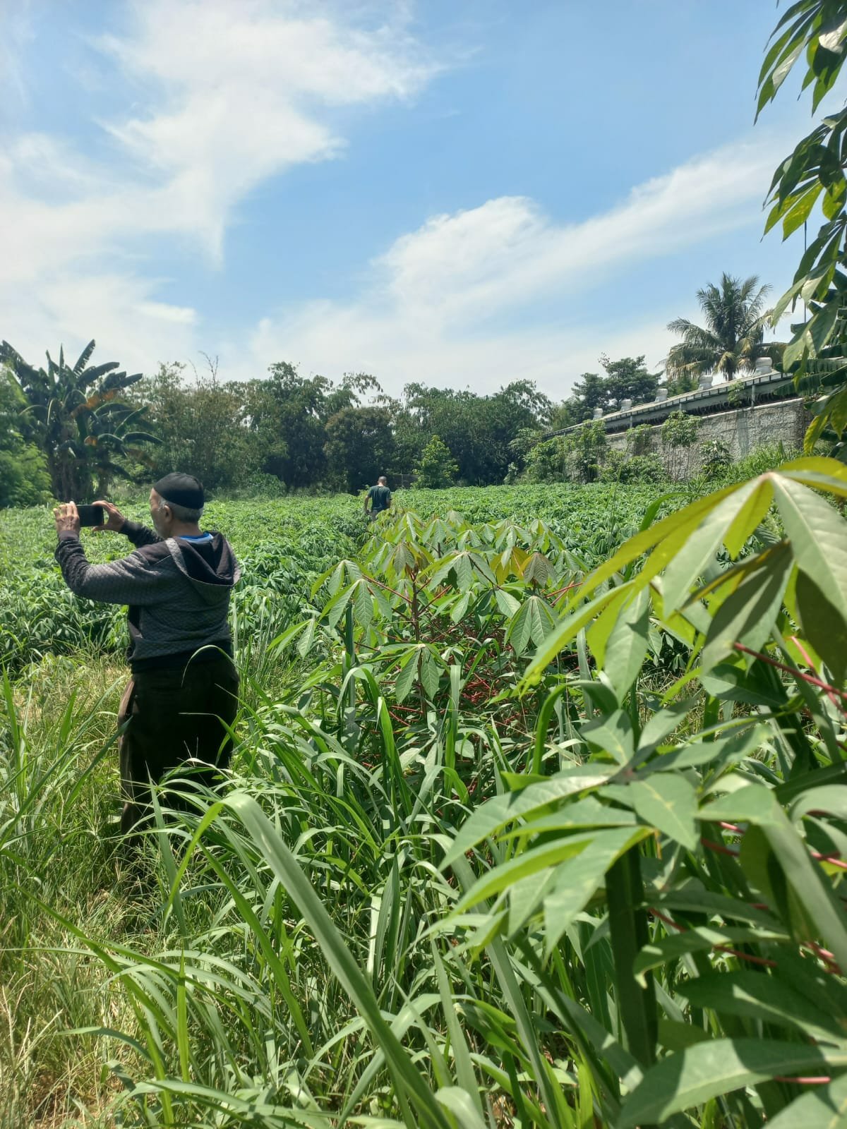 Jual Tanah jampang Kemang Parung Bogor - 4