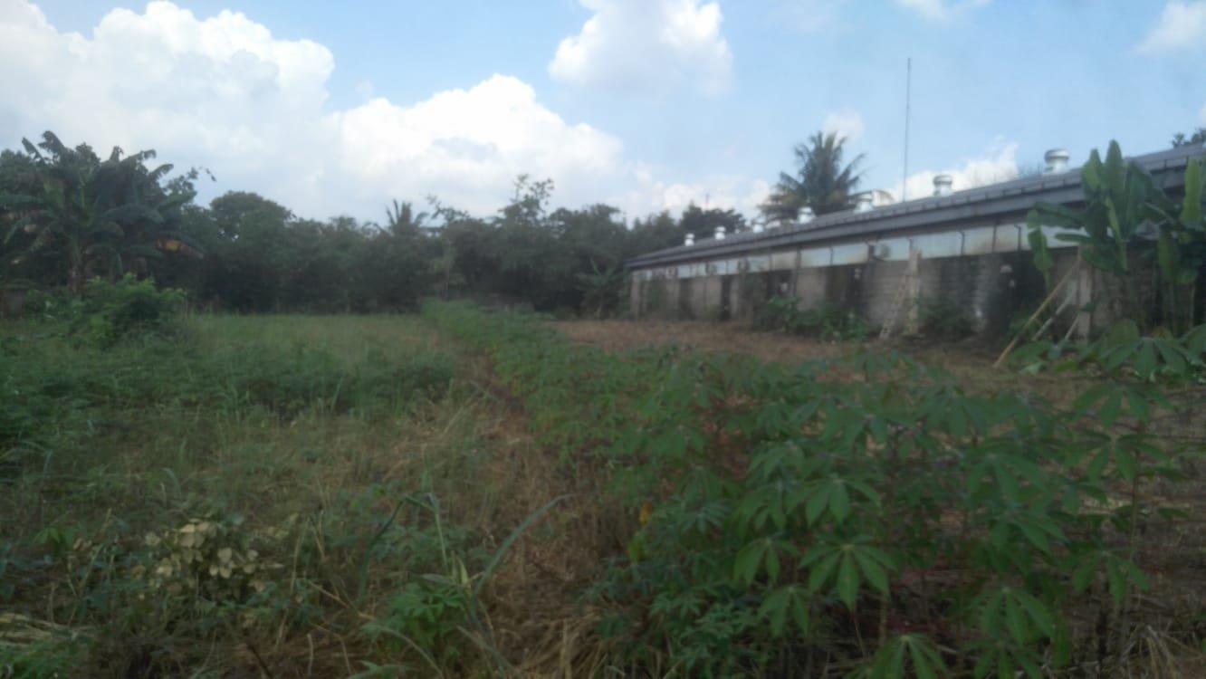 Jual Tanah jampang Kemang Parung Bogor - 6