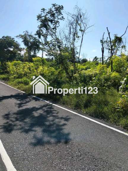 Dijual Tanah Tebing Tepi Pantai Wakatobi Wangi-wangi Sulawesi Tenggara - 4