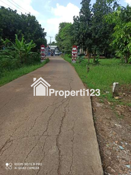 DIJUAL CEPAT TANAH PLUS POHON JATI TANPA PELANTARA. - 2