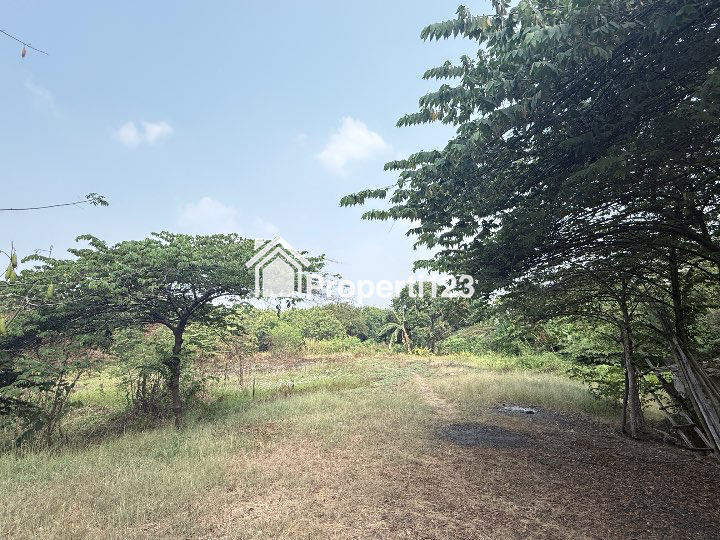 Dijual Tanah Pinggir Jalan di Cikarang Cibarusah Bekasi - 1