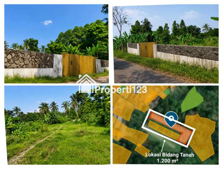 ​🌿 DIJUAL MURAH! LAHAN STRATEGIS DI KAKI GUNUNG SALAK 🌿 - 1