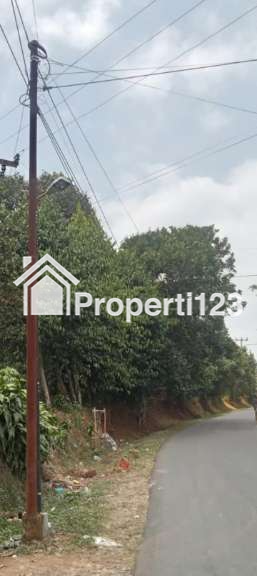 Jual tanah kebun luas 5.5ha - 1