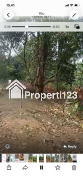 Jual tanah kebun luas 5.5ha - 2