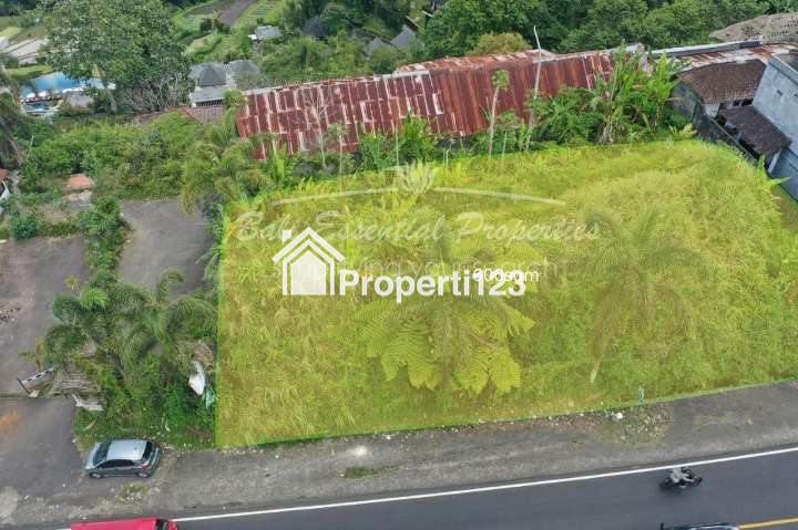 PRIME LAND FOR SALE IN TABANAN – SC170 - 4