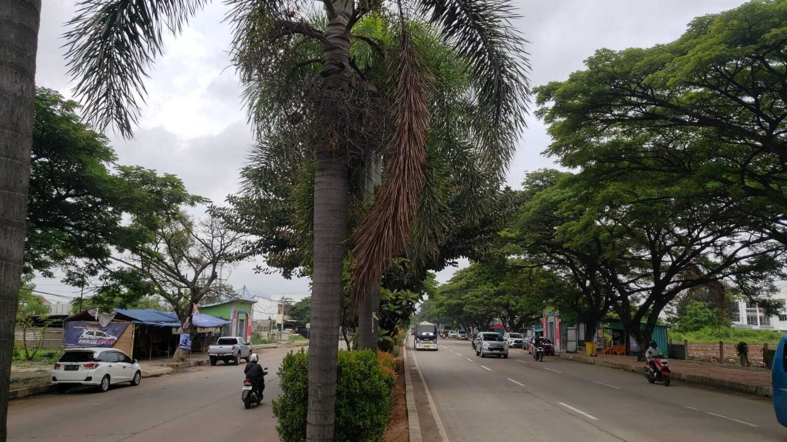 Turun Harga, Dijual Cepat Tanah di Jln. Nasional III Kota Cilegon, Banten - 5