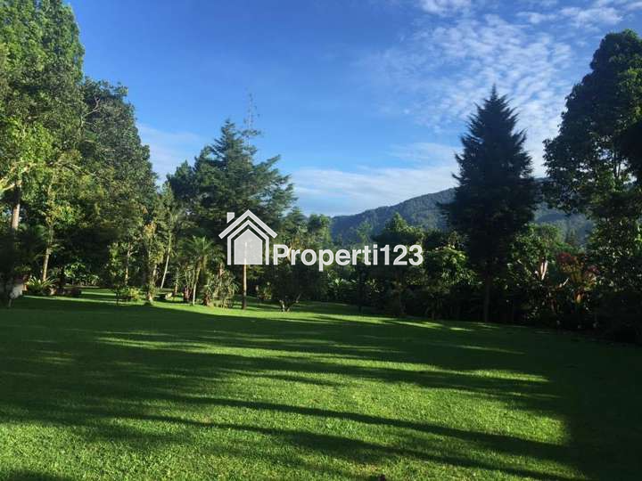 Dijual Cepat Villa di Jl.Gandamanah, Tugu Selatan, Kecamatan Cisarua, Kabupaten Bogor, Puncak, Jawa Barat - 14