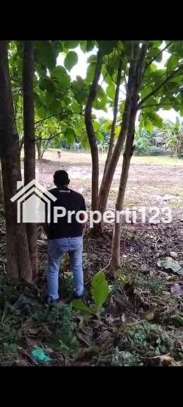 JUAL TANAH STRATEGIS DI REMBANG - 3
