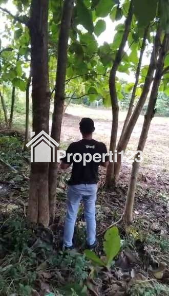 JUAL TANAH STRATEGIS DI REMBANG - 2