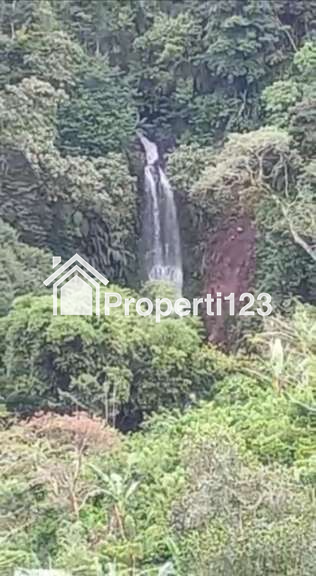 Dijual Tanah 2,29 Hektar Pujungan Pupuan Tabanan Bali Dkt Gunung Batukaru - 1