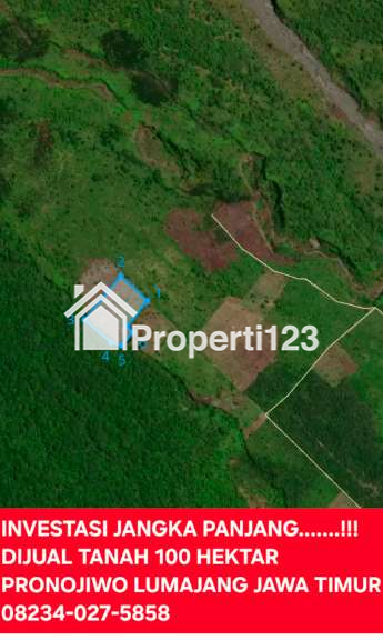 Dijual Tanah 100 Hektar Di Pronojiwo Lumajang Jawa Timur - 4