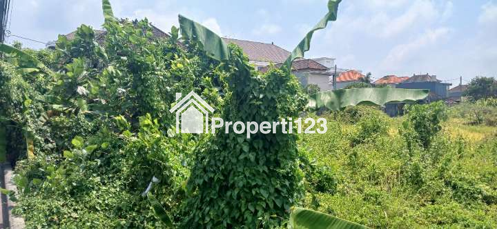 Dijual Tanah 50 Are Zona Perdagangan Dan Jasa Kapal Mengwi Badung Bali - 2