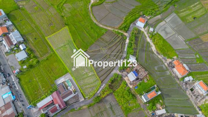 PRIME LAND FOR LEASEHOLD SALE IN MUNGGU – SC158 - 3