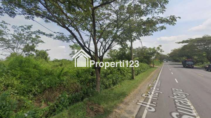 Tanah Industri Komersial Nol Jl Provinsi Raya Tuban Babat Widang - 1