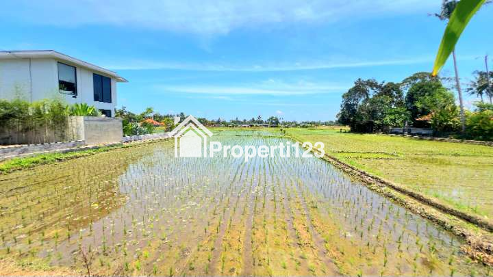 Tanah Dijual Di Lodtunduh Ubud Gianyar Bali Zona Pink Pariwisata - 3