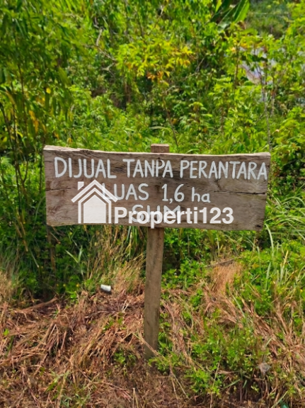 (Tanpa perantara) Tanah SHM 1,7ha di Jalan Musi Km18 Kijang - 1