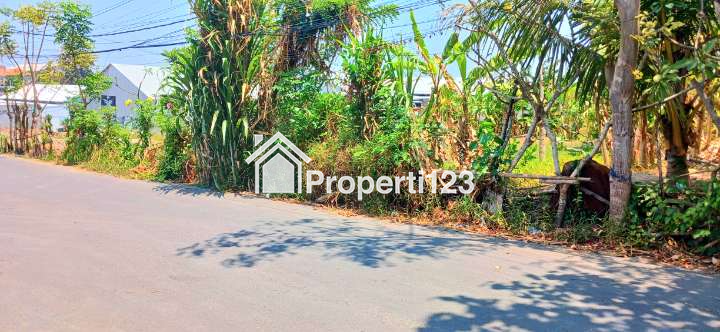 Disewakan Tanah 1500 m2 Jl Bina Kesuma Ubung Dkt Jl Cokroaminoto, Cargo, Gatsu Denpasar Bali - 3