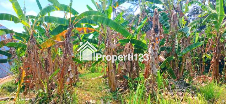 Disewakan Tanah 635 m2 Jl Denpasar - Singaraja Werdi Bhuwana Mengwi Badung Bali - 3