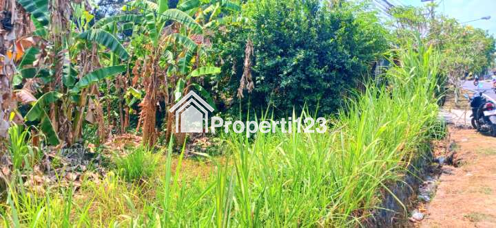 Disewakan Tanah 635 m2 Jl Denpasar - Singaraja Werdi Bhuwana Mengwi Badung Bali - 2