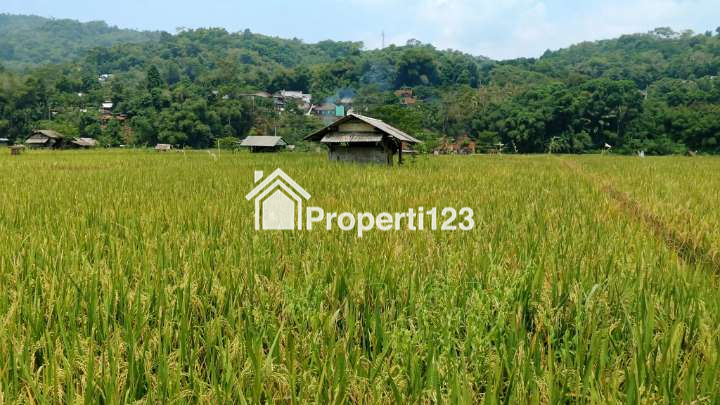 Sawah Produktif Harga Murah 5120 m2 SHM Dilewati Irigasi Masa Panen 3 Kali Pertahun Sudah Ada Jalan Desa Hanya 1,8 km dari Alun-alun Sumedang - 3
