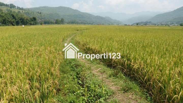 Sawah Produktif Harga Murah 5120 m2 SHM Dilewati Irigasi Masa Panen 3 Kali Pertahun Sudah Ada Jalan Desa Hanya 1,8 km dari Alun-alun Sumedang - 4