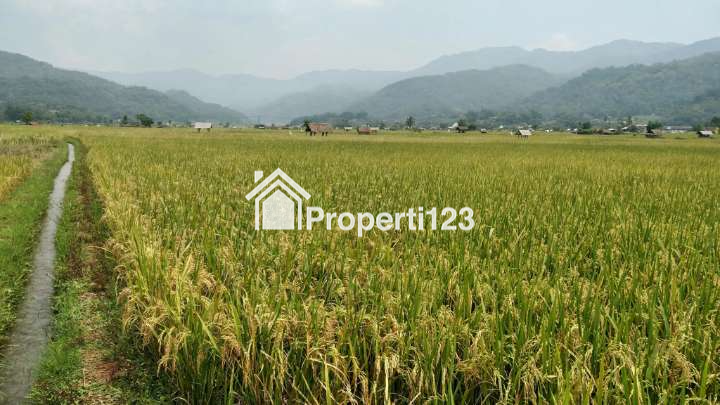Sawah Produktif Harga Murah 5120 m2 SHM Dilewati Irigasi Masa Panen 3 Kali Pertahun Sudah Ada Jalan Desa Hanya 1,8 km dari Alun-alun Sumedang - 2