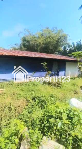 Dijual Kandang Ayam Aktif dan Peralatan di Malang Jawa Timur - 5
