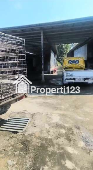 Dijual Kandang Ayam Aktif dan Peralatan di Malang Jawa Timur - 2