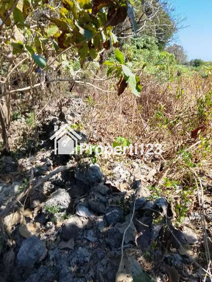 PELUANG INVESTASI EKSKLUSIF DI SUMBA, NUSA TENGGARA TIMUR - 5