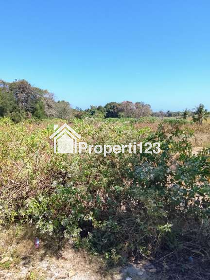 PELUANG INVESTASI EKSKLUSIF DI SUMBA, NUSA TENGGARA TIMUR - 8