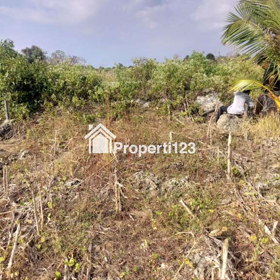 PELUANG INVESTASI SUPER EKSKLUSIF DI SUMBA BARAT DAYA, NUSA TENGGARA TIMUR - 10