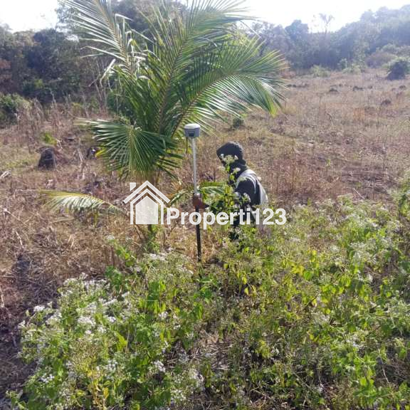 PELUANG INVESTASI SUPER EKSKLUSIF DI SUMBA BARAT DAYA, NUSA TENGGARA TIMUR - 9