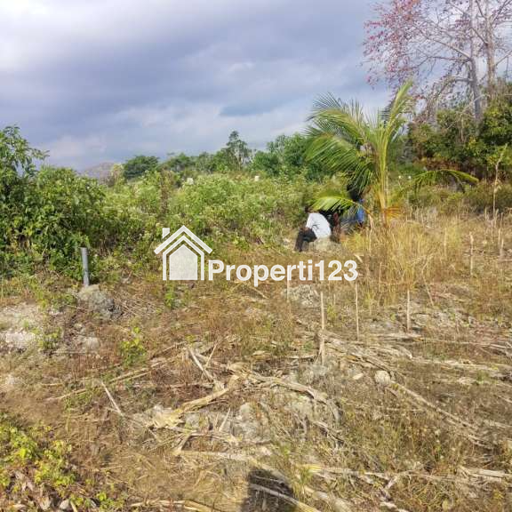PELUANG INVESTASI SUPER EKSKLUSIF DI SUMBA BARAT DAYA, NUSA TENGGARA TIMUR - 8