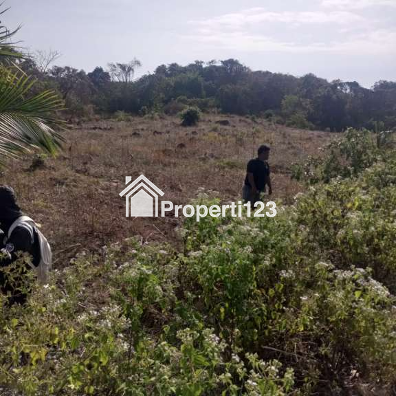PELUANG INVESTASI SUPER EKSKLUSIF DI SUMBA BARAT DAYA, NUSA TENGGARA TIMUR - 6