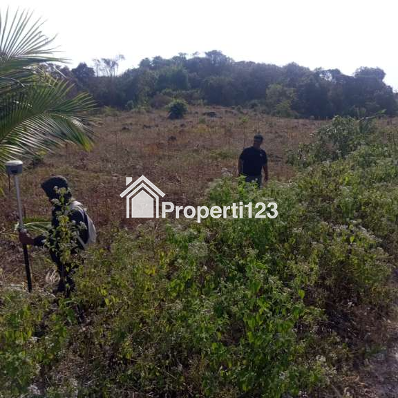 PELUANG INVESTASI SUPER EKSKLUSIF DI SUMBA BARAT DAYA, NUSA TENGGARA TIMUR - 5