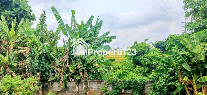 Dijual Tanah 247 m2 Komplek Perumahan Abianbase Mengwi Badung Bali - 3