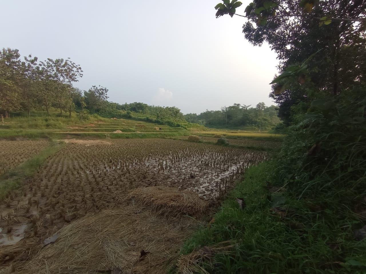 Dijual BU Tanah Murah di Kec. Bojong Mangu Kabupaten Bekasi - 5
