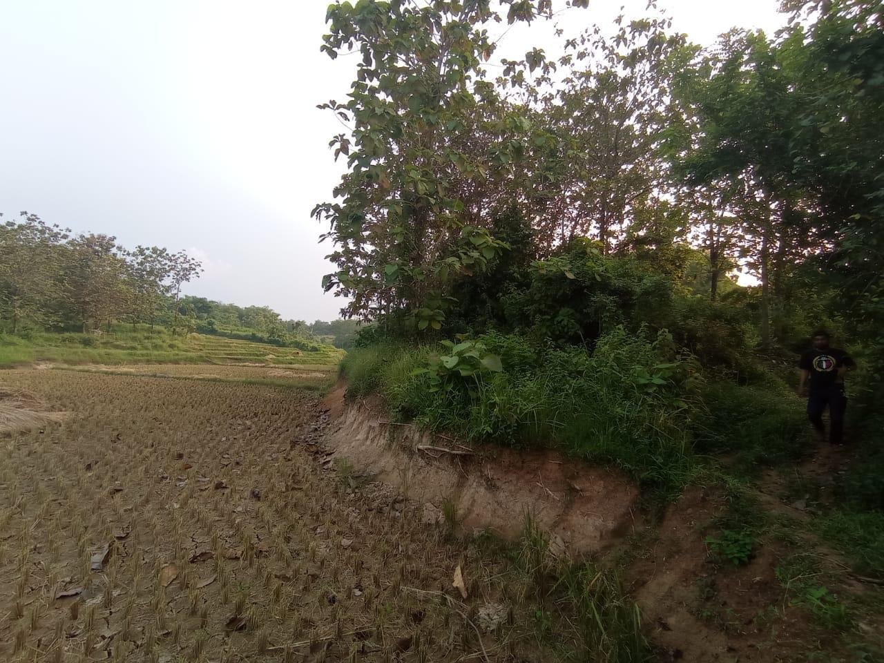 Dijual BU Tanah Murah di Kec. Bojong Mangu Kabupaten Bekasi - 2
