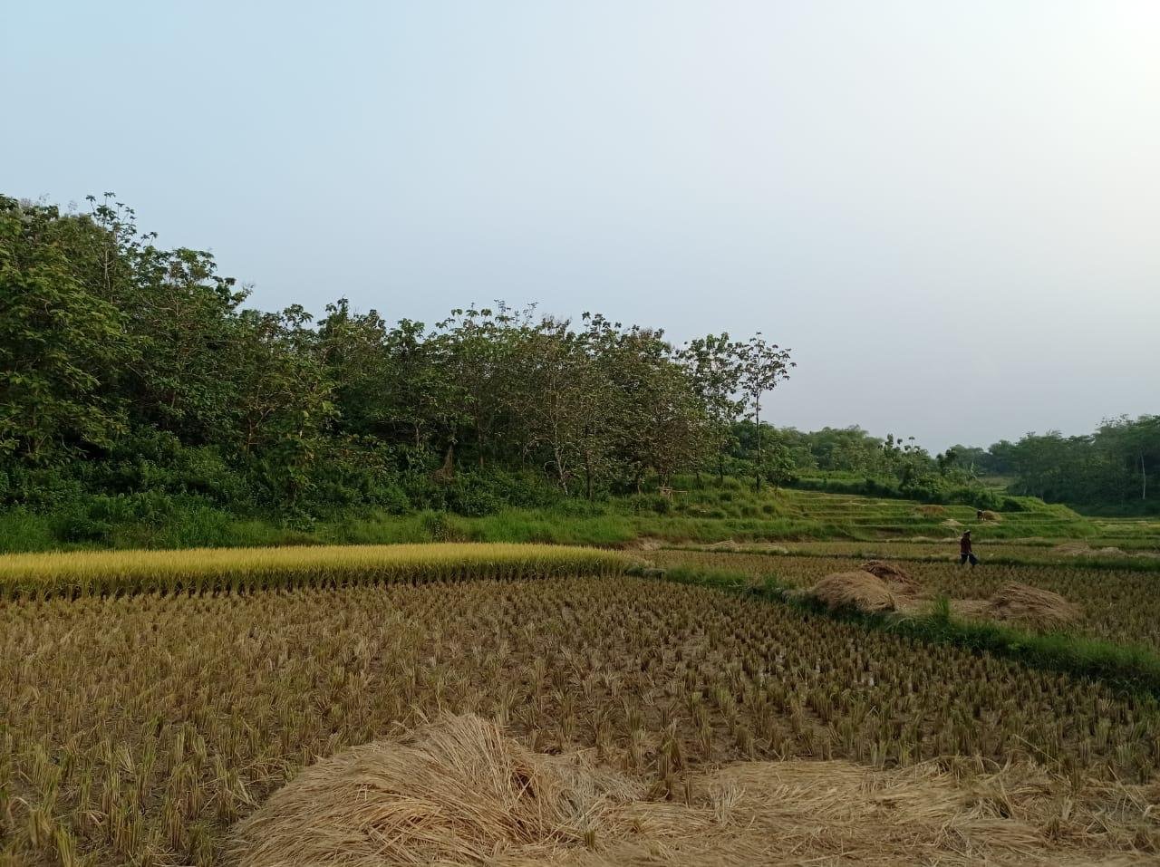 Dijual BU Tanah Murah di Kec. Bojong Mangu Kabupaten Bekasi - 6