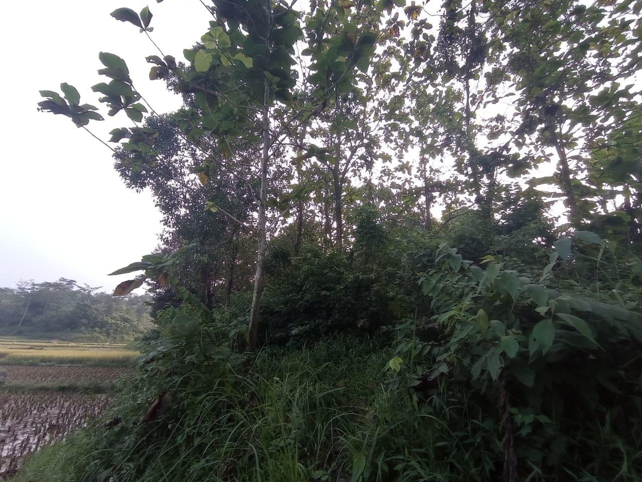 Dijual BU Tanah Murah di Kec. Bojong Mangu Kabupaten Bekasi - 8
