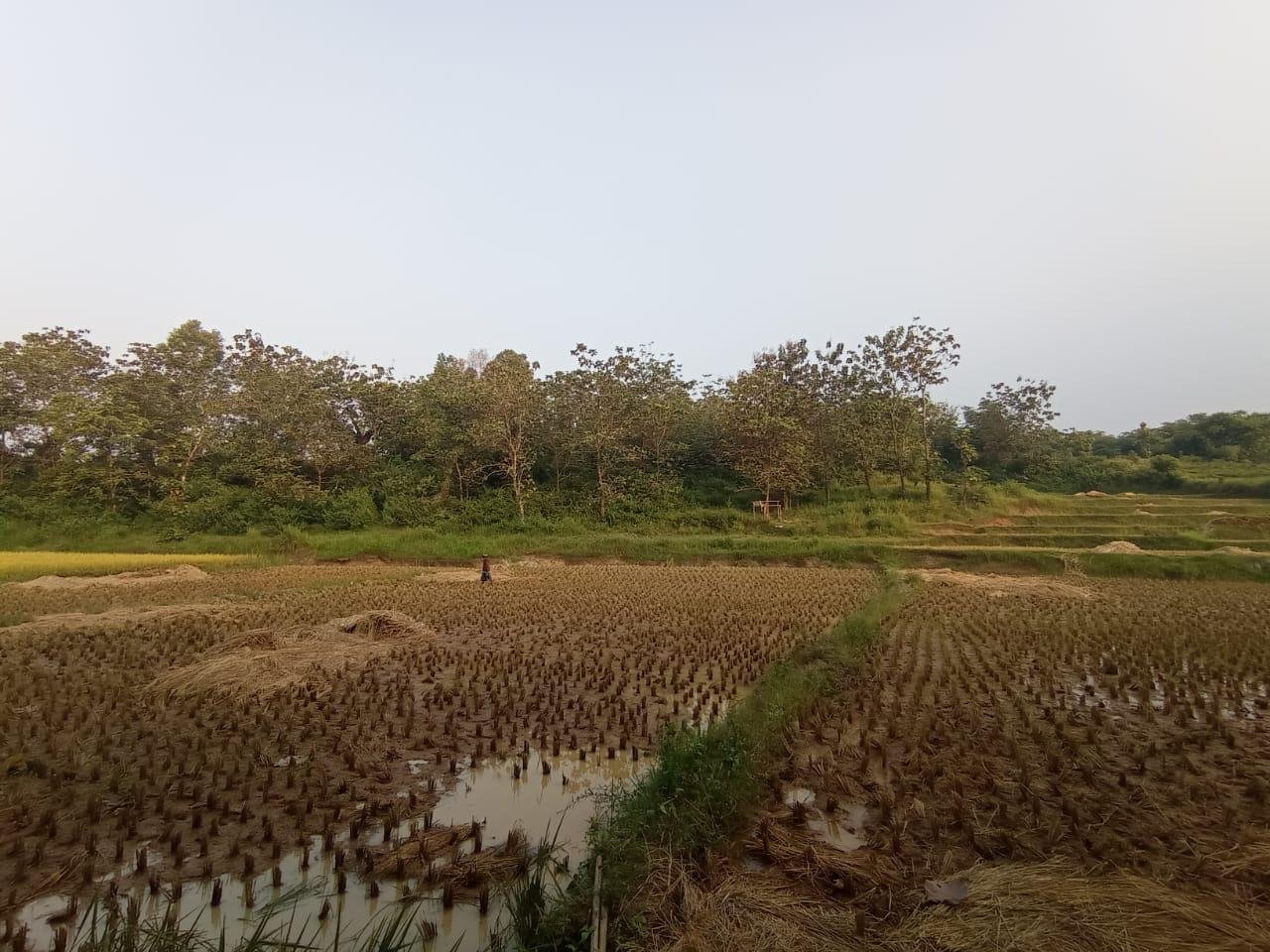 Dijual BU Tanah Murah di Kec. Bojong Mangu Kabupaten Bekasi - 9