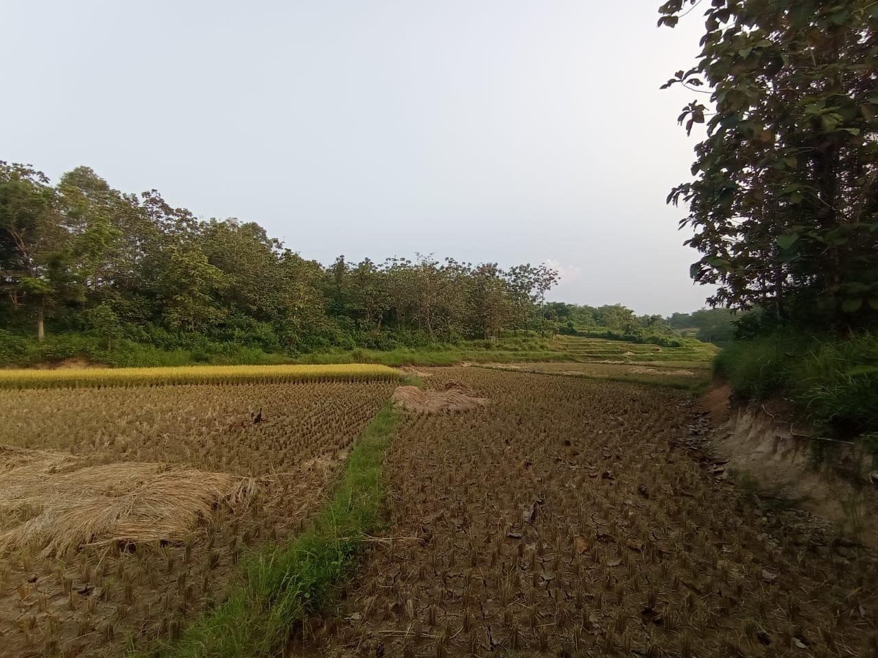 Dijual BU Tanah Murah di Kec. Bojong Mangu Kabupaten Bekasi - 3
