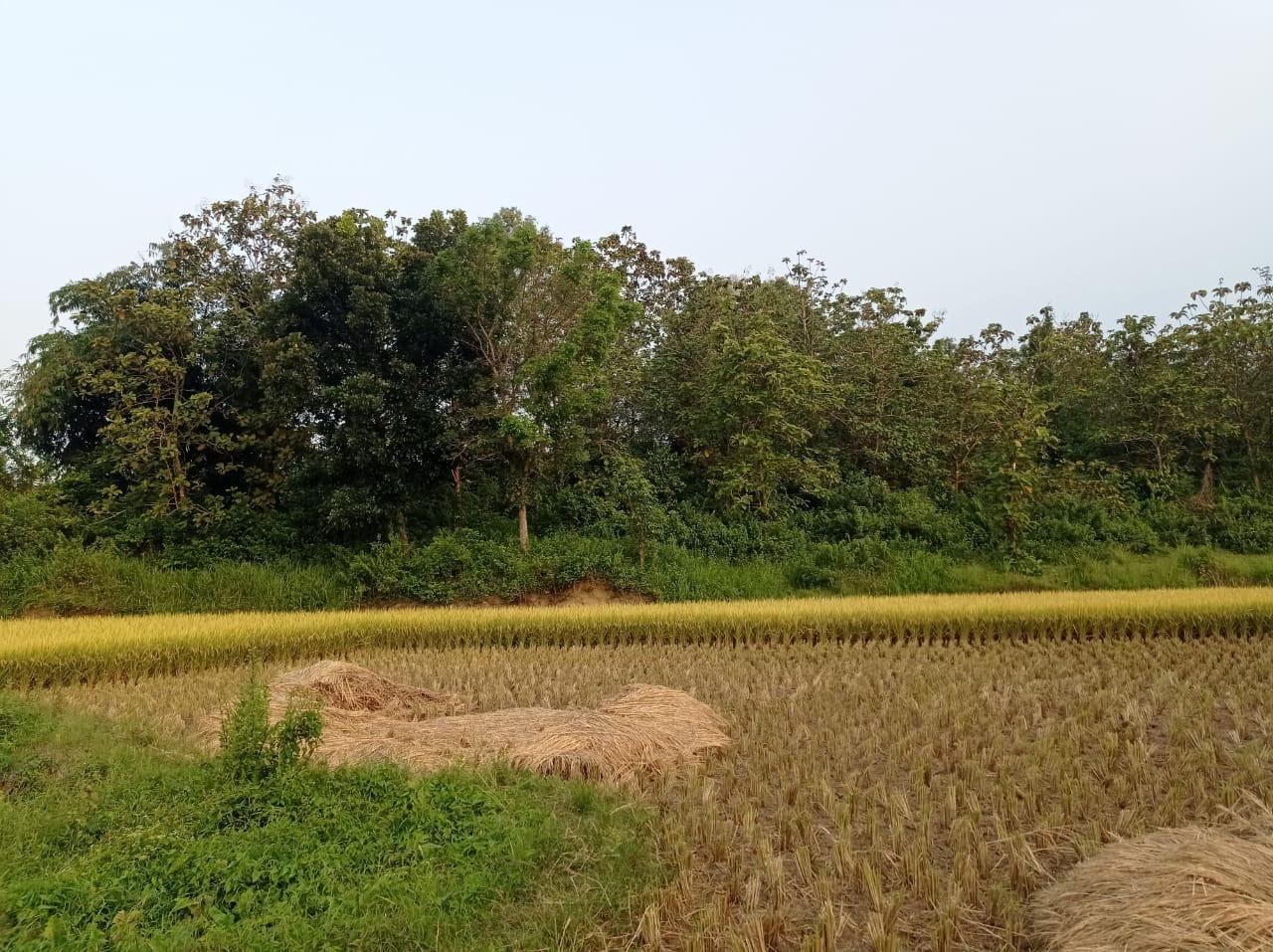Dijual BU Tanah Murah di Kec. Bojong Mangu Kabupaten Bekasi - 10